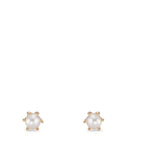 593423_a