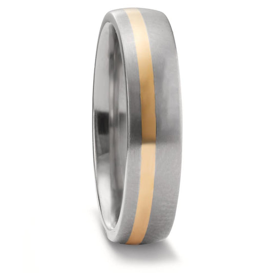 Partnerringe Titanium, 750/18K guld