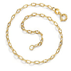 Ankelkæde 585/14K guld 24 cm