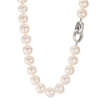 Collier Sølv rhodineret Ferskvands kulturperle hvid, 12 mm 50 cm