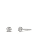 Ørestikker 750/18K hvidguld Diamant 0.112 ct, 14 Sten , w-si Ø4 mm