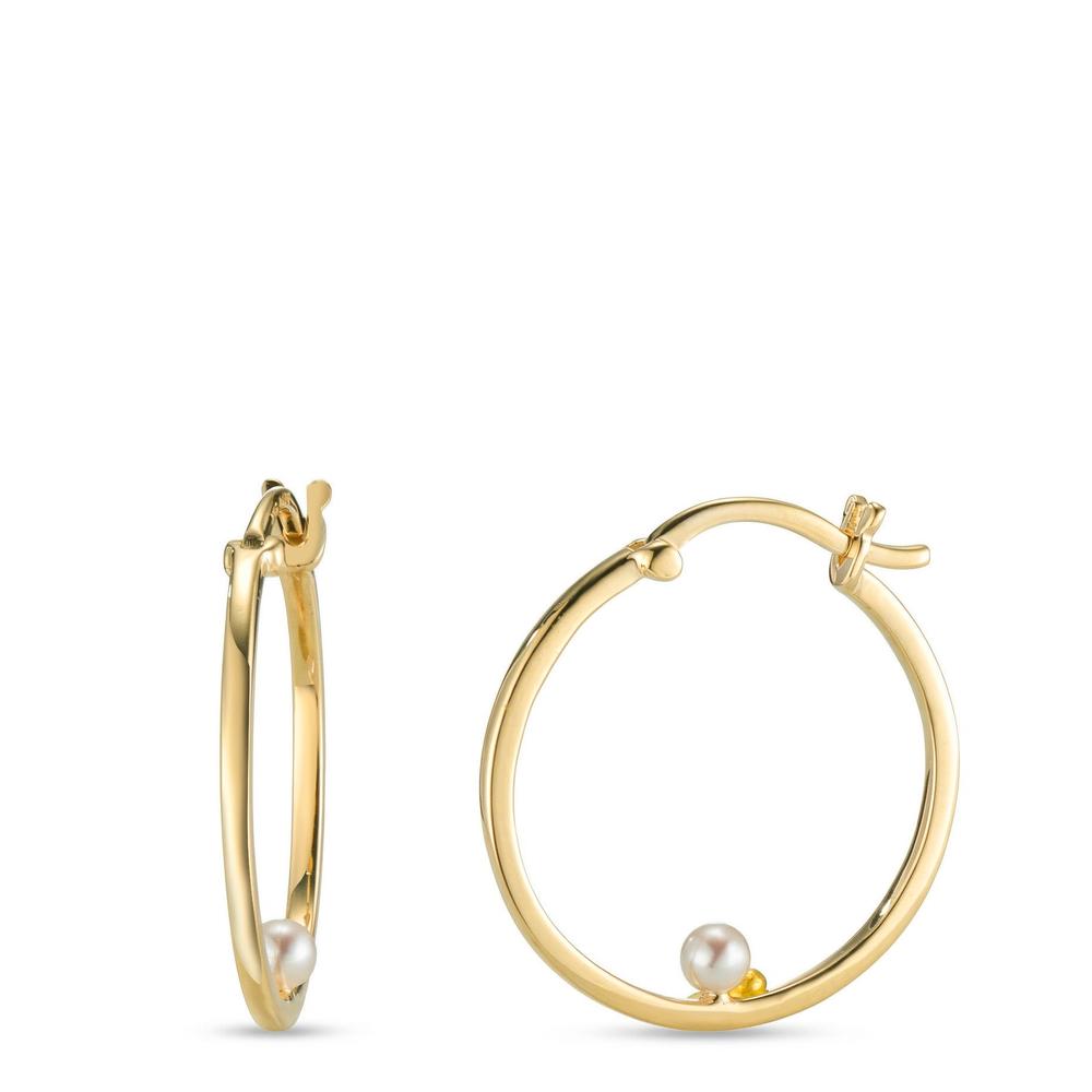 613907 main